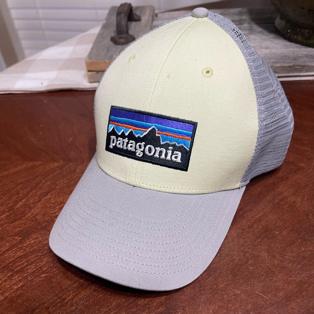 Patagonia P-6 Logo LoPro Trucker Hat Cap